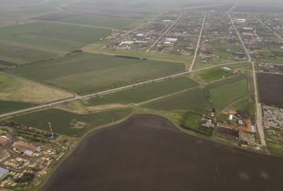Teren agricol intravilan de 76000 mp, în Caporal Alexa - 5