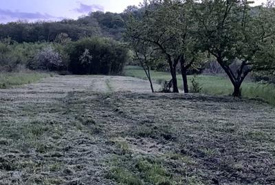 Spațiu comercial, în Central - 10