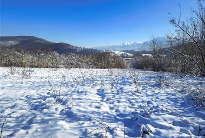 Teren de 1344 mp, în Tălmaciu - 5