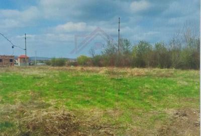 TEREN INTRAVILAN - STRADA AEROPORTULUI\ CARANSEBEȘ\JUD.CARAȘ-SEVERIN - 3