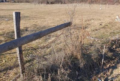 Spațiu comercial, în Mihăești - 7