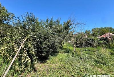 Casa renovabila, Jucu de Sus - 6