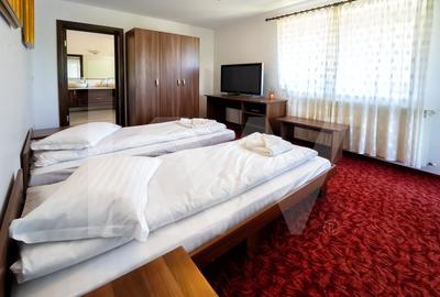 Vila exclusivista cu piscina si panorama de vis Cisnadioara - 6