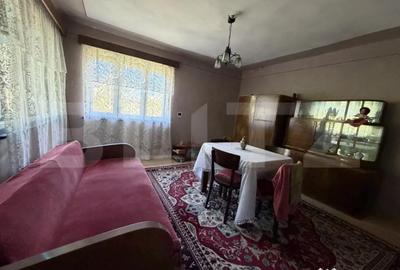 Casă cu 4 camere cu Teren 5000 Mp în Petrindu - 5