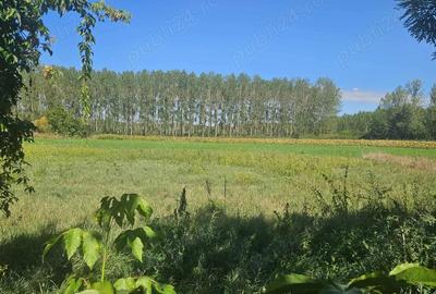 Casa de vanzare in Ungaria,la 23 km de Oradea - 3