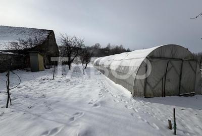 Casa de vanzare 3 camere 90 mpu teren liber 1095 mp Persani - 10