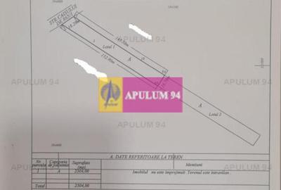 Teren Construcții intravilan de 2504 mp, în Dobroești - 2