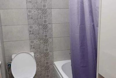 Apartament cu 2 camere în Giurgiului - 8