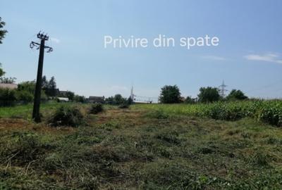 Vând Teren intravilan în Simeria zonă superbă și liniștită - 7