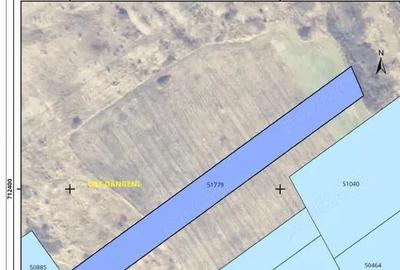 Teren de 46500 mp, în Dângeni - 8