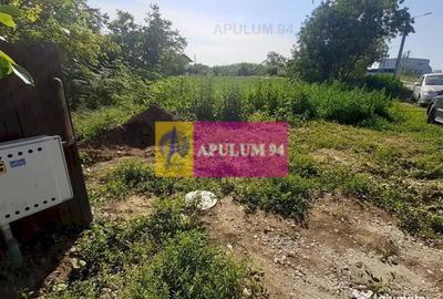 Teren de 5000 mp, în Copăceni - 12