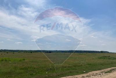 Teren intravilan de 973 mp, în Băneasa - 8