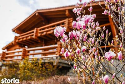 Casă cu 5 camere cu Teren 980 Mp în Central - 4