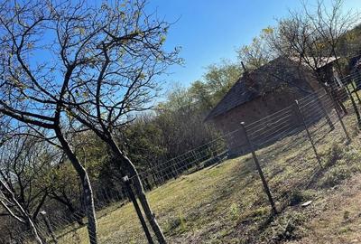 Teren de 2200 mp, în Milcoiu - 8