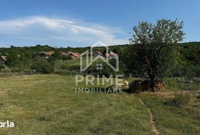 Teren de 3664 mp, în Berghin