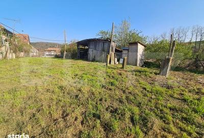 Casă cu 4 camere cu Teren 15000 Mp în Bichiș - 10