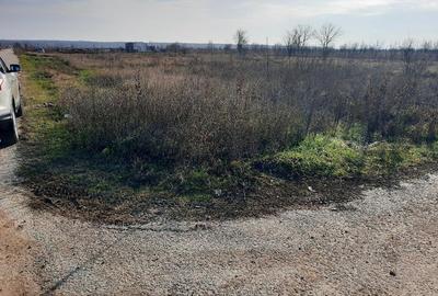 Teren Construcții intravilan de 6963 mp, în Bâcu - 3