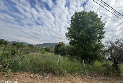 Teren de 3700 mp, în Valea Borcutului - 1