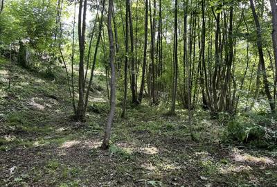 Casa situata intr-o zona superba - 4