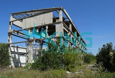 Teren intravilan | Fosta fabrica de placaje | Deta Timis - 5