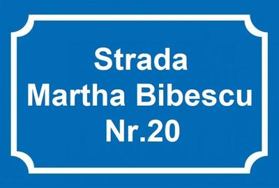 Duplex 6 camerede vanzare in Mogosoaia Str Martha Bibescu 20 acces direct la lac Duplex 6 camerede vanzare in Mogosoaia Str Martha Bibescu 20 acces direct la lac - 2