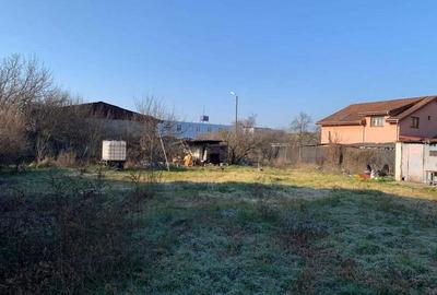 Teren intravilan 1.040 mp Lipovei-II de la Brad Teren intravilan 1.040 mp Lipovei-II de la Brad - 2