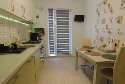 Apartament cu 2 camere decomandat în Turnișor - 10