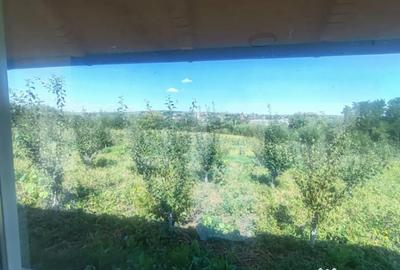 Casă cu 1 camere cu Teren 3000 Mp în Central - 6