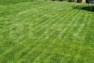 Casă cu Teren 500 Mp în Central - 2