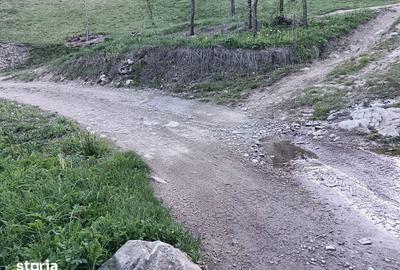 Teren de 635 mp, în Cornereva - 8