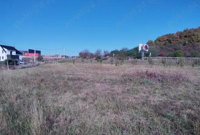 Teren de 12300 mp, în Crainimăt - 2
