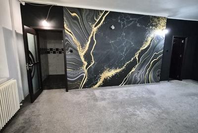 De vânzare Vilă individuala 11 camere curte proprie Parcul Carol - 8