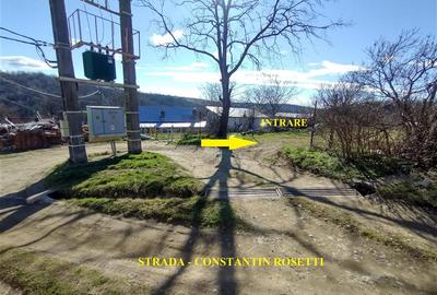 Teren Construcții intravilan de 2500 mp, în Vest - 3