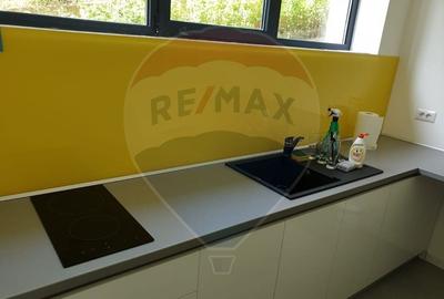 Spatiu comercial Vanzare cu Chiriasi | Taietura Turcului - 7