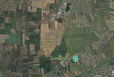 Teren extravilan pretabil P.U.Z. industrial | Sacalaz - Sanmihaiu Roman - 1