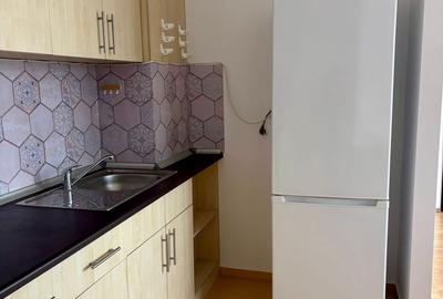 Apartament cu 2 camere, mobilat în Podu Roș - 11