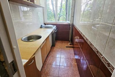 Apartament 2 camere, confort 2, parter – zona Malu Roșu - 9