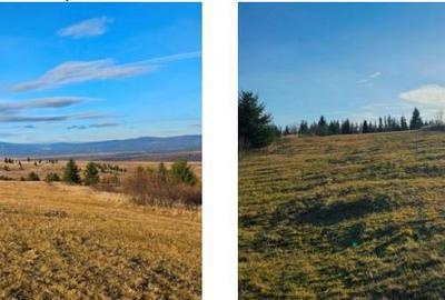 Teren de 9723 mp, în Gălăuțaș - 1