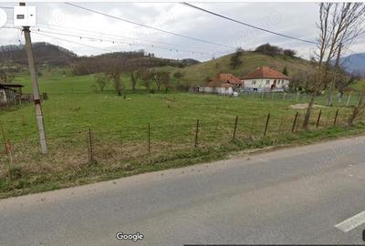 Teren în Săliște - 4