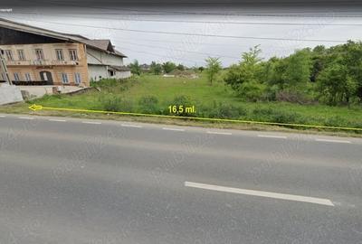 Teren de 1294 mp, în Ciorogârla - 5