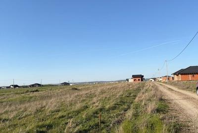 Teren de 505 mp, în Cihei - 1