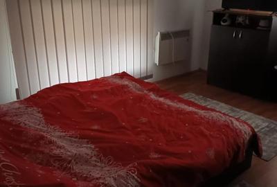 Vand casa individuala cu 4 camere, in Valea Chintaului, teren 200mp - 3