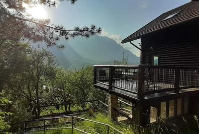 CHALET & SPA MAESTRUL SI MARGARETA /MARGARETA APARTMENT RENT/1300 EURO by WEEK - 2
