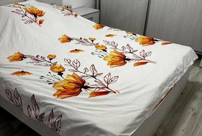 Apartament cu 2 camere decomandat în Bălcescu - 2