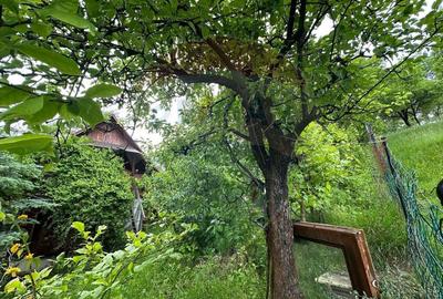 DE VANZARE - Cabana / casa vacanta in COAS - 8