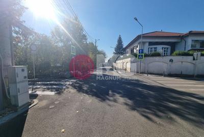 Loturi 500mp Strada Nuferilor-Petrom City - 6