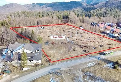 Teren 28.000mp Poiana MIca intre Monterai si Grand Chalet - 2