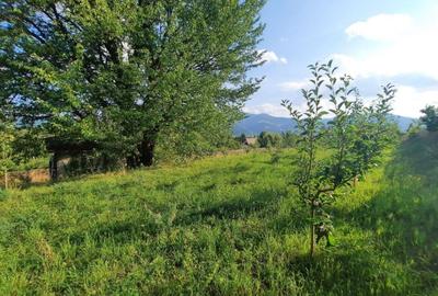 Teren de vanzare Viisoara (Pensiunea Smarandita) 1091 mp , Cod 148077 - 2