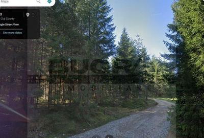 Teren de 1400 mp, în Bălcești (Beliș) - 3