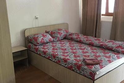 Pensiune turistica Valiug Crivaia - 7